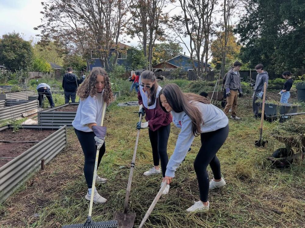 Students clearing garden beds